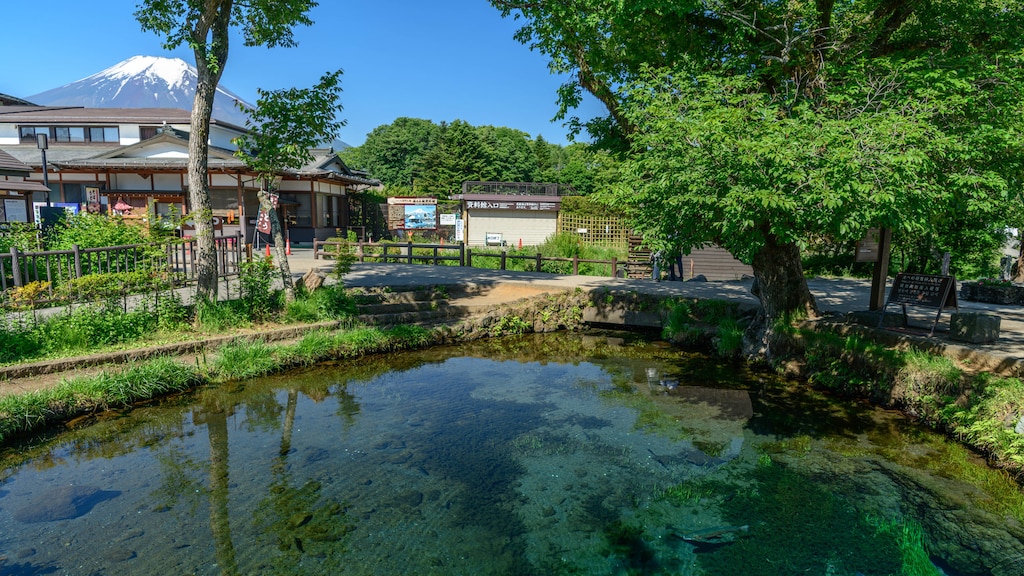 山梨県忍野村のホテル｜世界遺産でもある忍野八海に出かけよう！