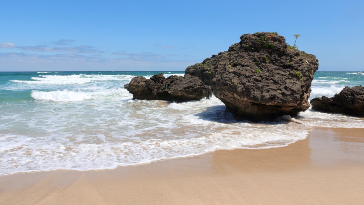 ウミガメだけじゃない！絶景に囲まれた「大浜海岸」の魅力に迫る skyticket 観光ガイド