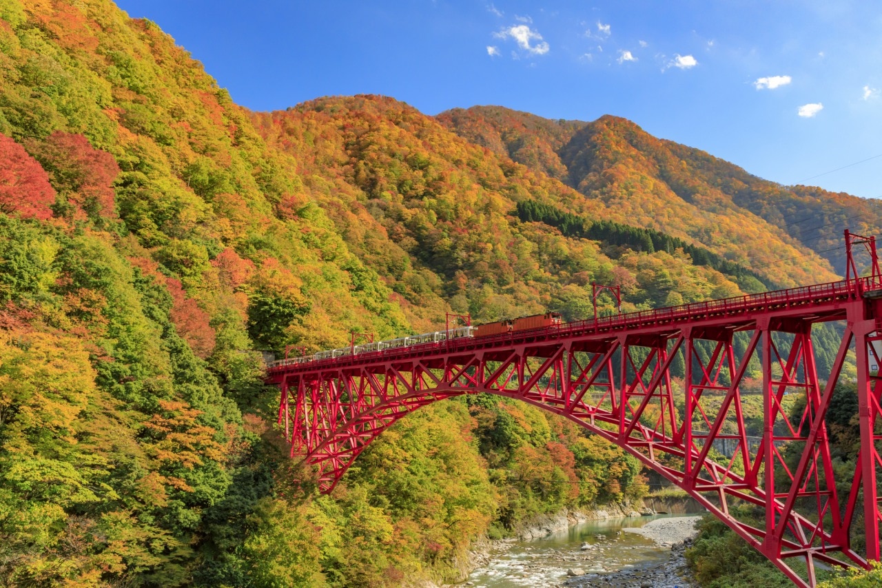 9月1日から黒部峡谷鉄道が北陸県民限定で 北陸県民デー 割引 Skyticket 観光ガイド