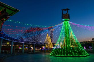 日本最大級の国営公園！国営木曽三川公園の見どころやイベントをご紹介(画像は岐阜県木曽三川公園の夜景　冬のイルミネーション)