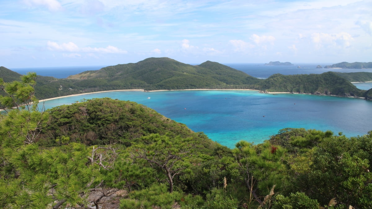 座間味島 島内の交通事情はどう レンタカーやレンタバイクが便利 Skyticket 観光ガイド