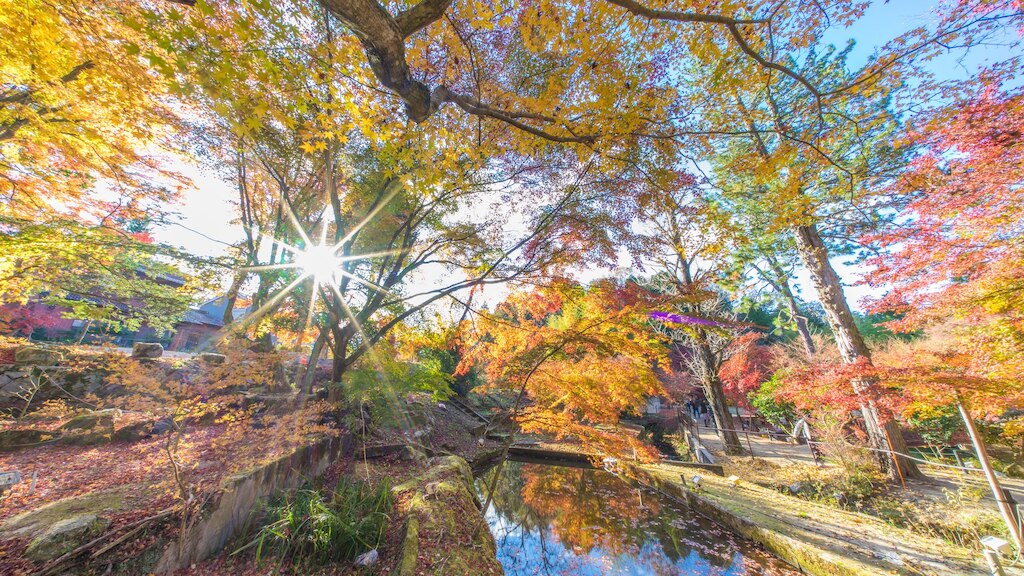 岐阜県 土岐市の周辺でオススメのホテル｜陶磁器生産量日本一！