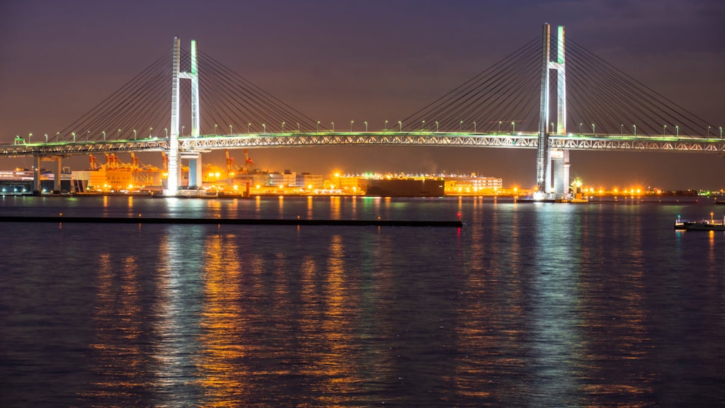 【横浜→東京】2大ブリッジの夜景を満喫！ChristmasCruise2020を東海汽船が実施