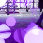 さっぽろホワイトイルミネーションのイメージ画像