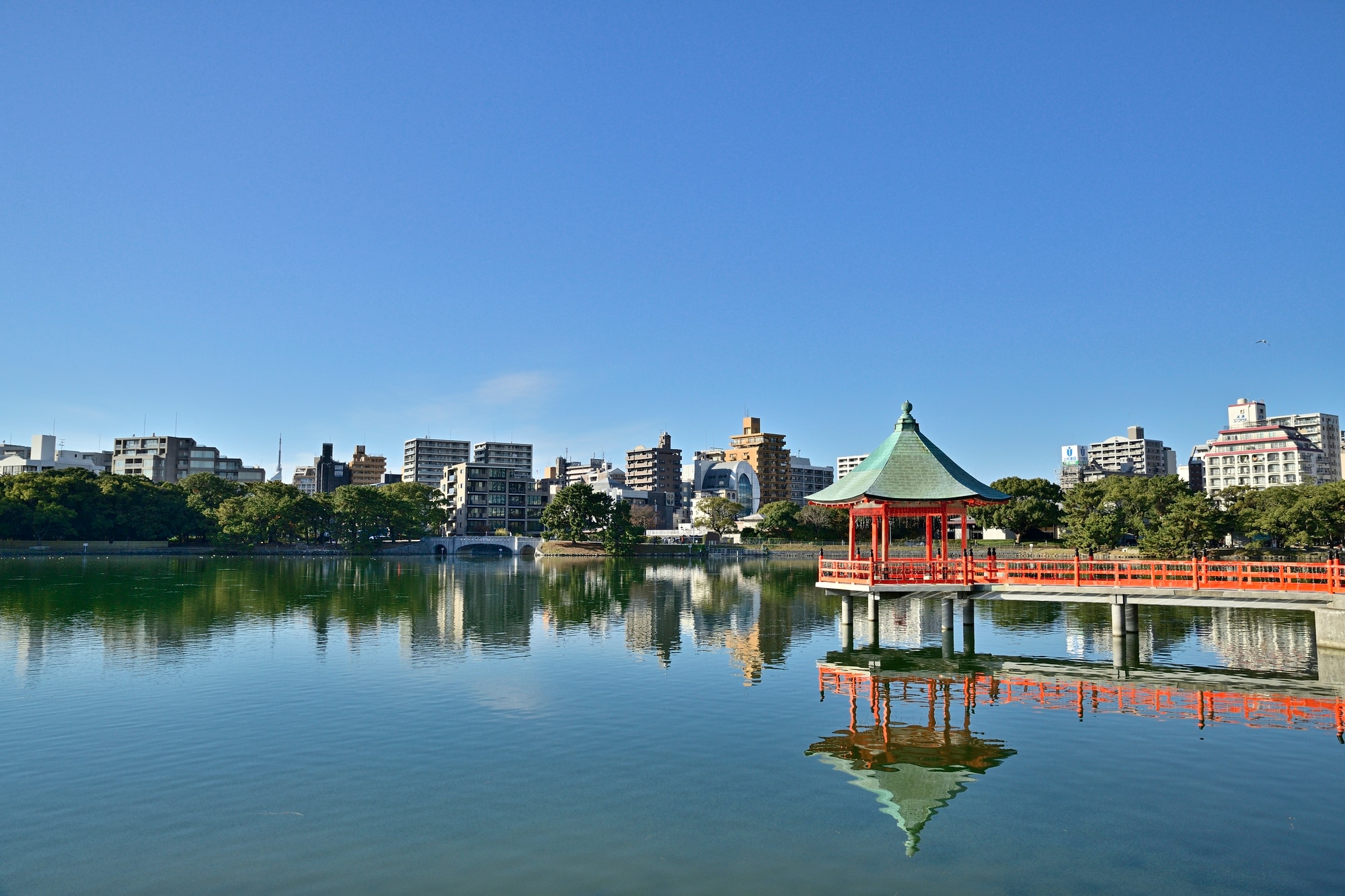 福岡屈指のオアシス！自然と水景が美しい大濠公園おすすめの楽しみ方