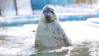 おびひろ動物園