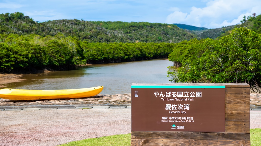 沖縄県・東村のおすすめホテル｜世界遺産候補地やんばる国立公園がある町