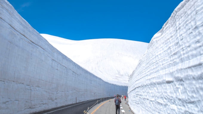 立山　雪の大谷ウォーク