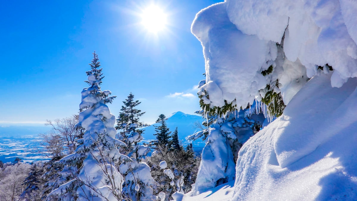 安比高原 周辺のオススメ観光スポット 冬はスキー 夏は高原散策 Skyticket 観光ガイド
