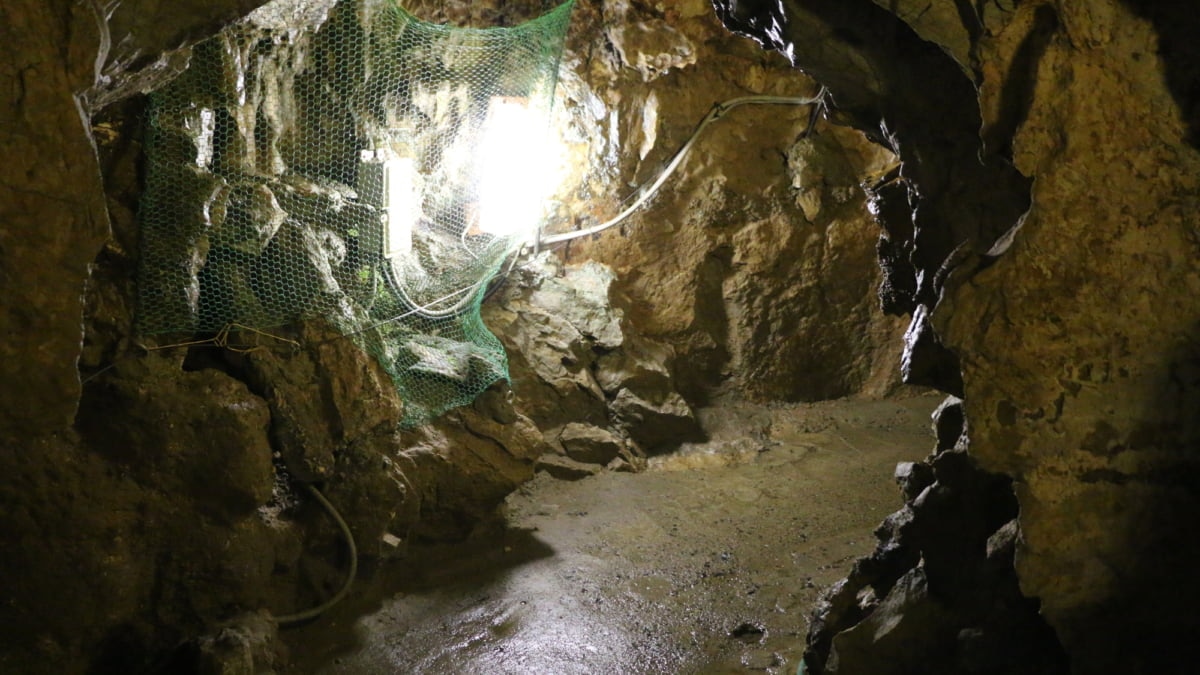 洞窟を探検したい方におすすめ 関ヶ原鍾乳洞で遊ぼう Skyticket 観光ガイド