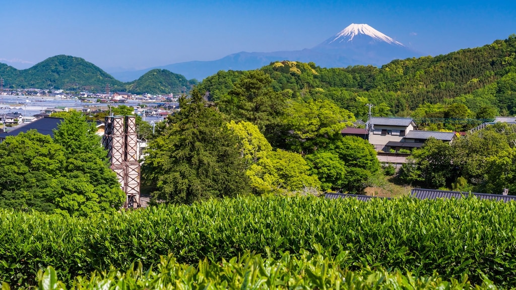 韮山・伊豆長岡の豊富な観光スポットを紹介｜源頼朝から近代産業遺産まで！