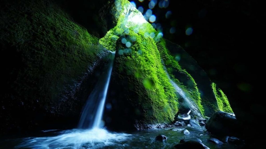 【兵庫/新温泉町】シワガラの滝 | 神秘的な滝に圧倒される！周辺観光地も紹介