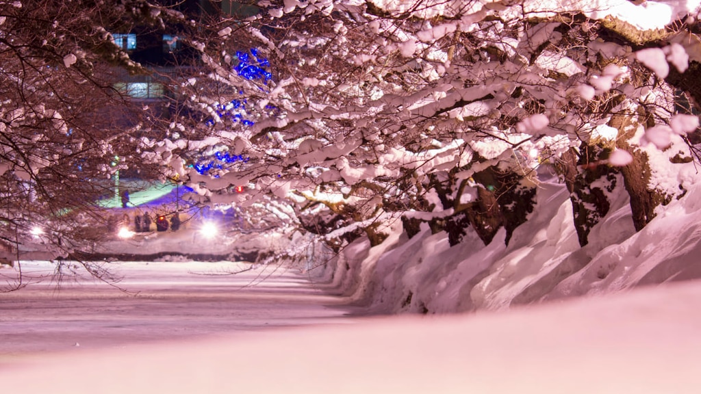 弘前城観光決定版！絶景の花筏、桜・紅葉・雪のライトアップに魅せられて