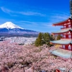 新倉山浅間公園