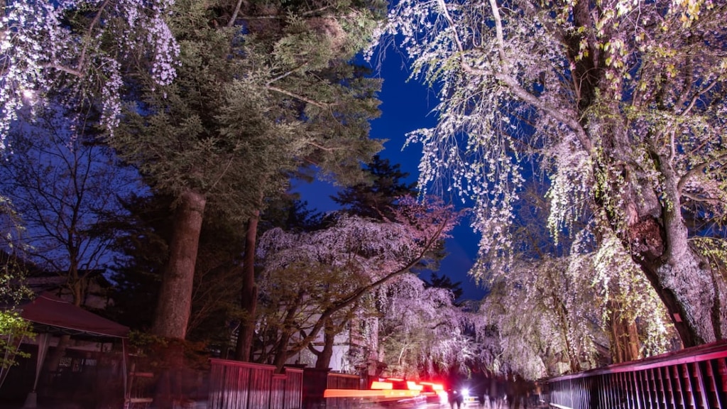 桜で有名な角館の武家屋敷通り！初めての観光でも安心の見どころガイド