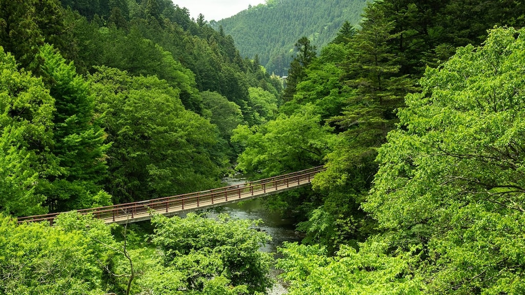 秋川渓谷を抱えるあきる野市周辺でおすすめのホテルを紹介！