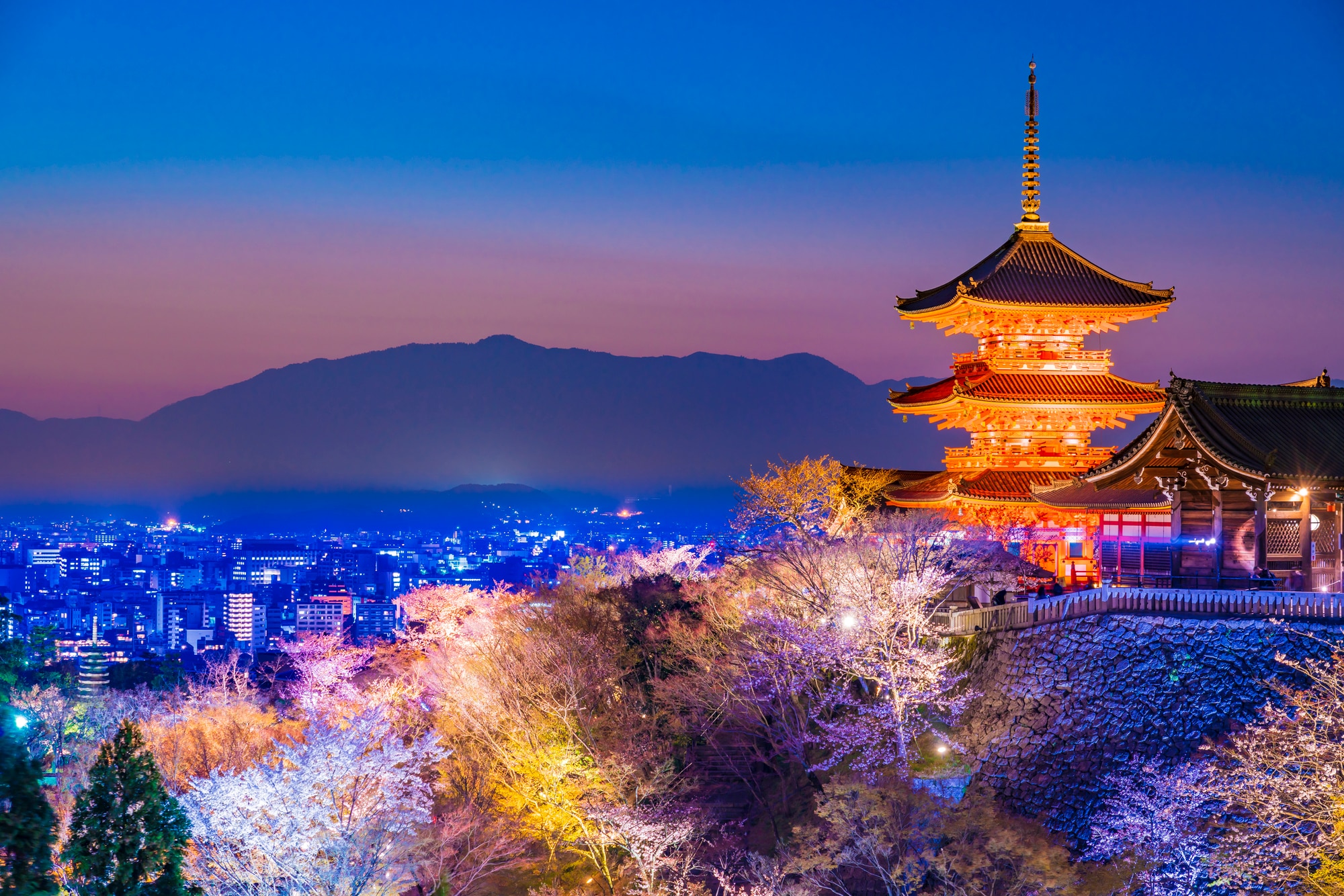 京都 夜桜ライトアップ 夜間特別拝観 21年開催 中止情報 Skyticket 観光ガイド