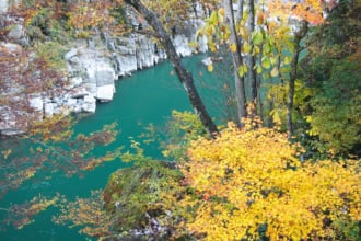 天竜峡の紅葉