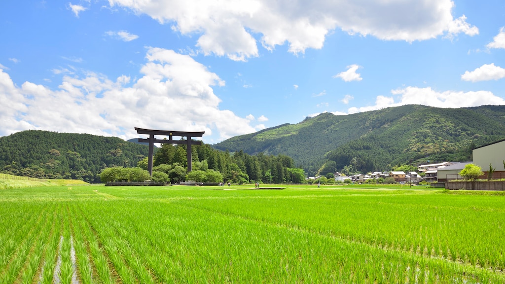 和歌山県田辺市のおすすめホテル10選！弁慶の出身地は南紀の中心都市