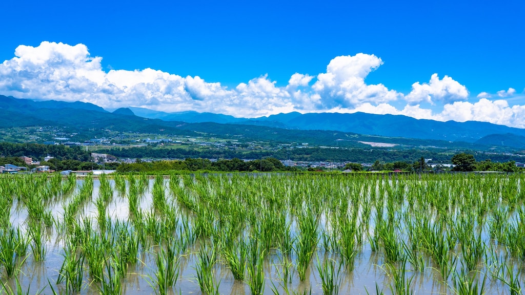 山梨県韮崎市で探すおすすめホテル！南アルプスの玄関口に宿泊