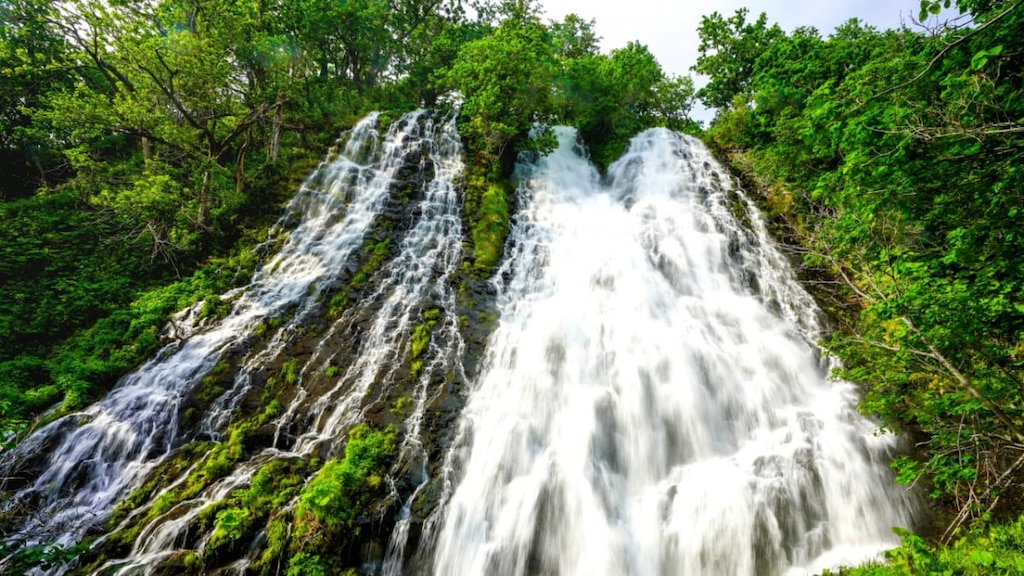 日本の滝100選に選ばれている「オシンコシンの滝」は気軽に立ち寄れる知床の穴場スポット