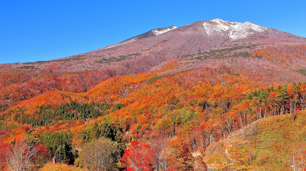 宮城蔵王で人気の観光スポット10選！紅葉に温泉に自然とのふれあいを満喫