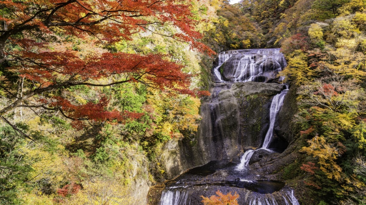 日本三名爆のひとつ 茨城県の袋田の滝の楽しみ方 秋の紅葉が特におすすめ Skyticket 観光ガイド