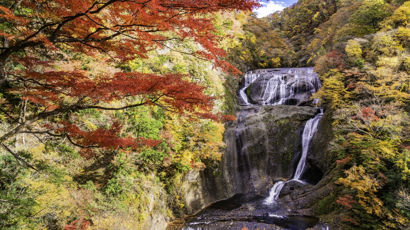 日本三名爆のひとつ 茨城県の袋田の滝の楽しみ方 秋の紅葉が特におすすめ Skyticket 観光ガイド