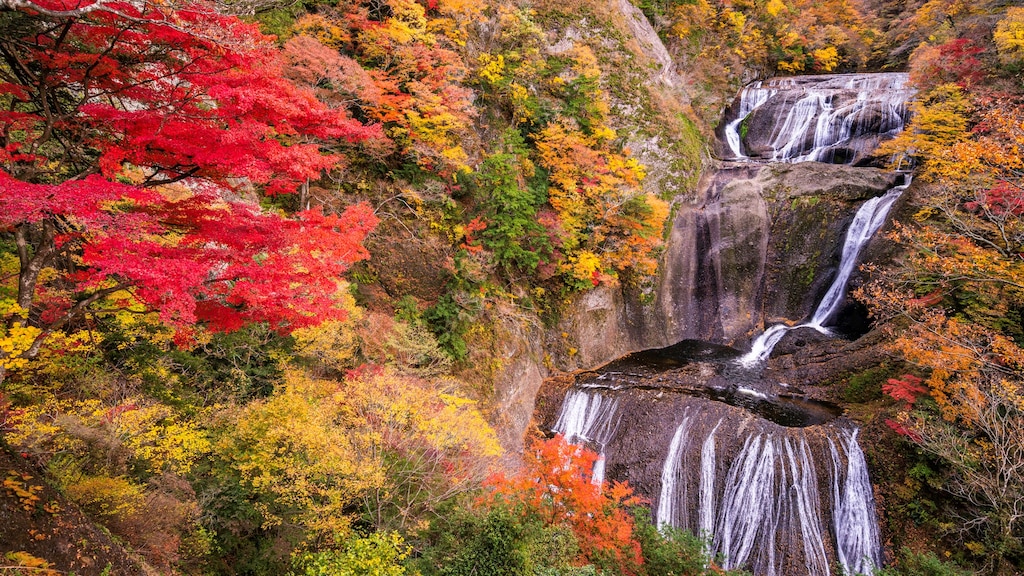 茨城県大子町のホテル情報をお届け｜袋田の滝を観光する方へ