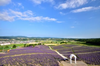 日の出公園オートキャンプ場