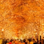 丸の内イルミネーション（東京）