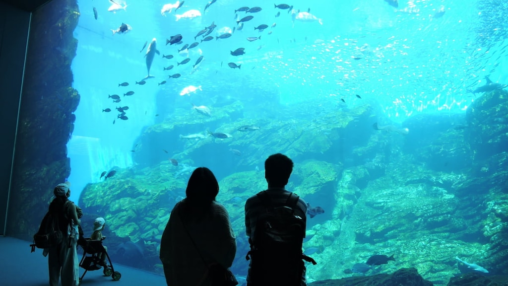 【仙台うみの杜水族館】日本酒を呑んで東北応援！「魚を肴に 日本酒ナイト水族館」10/24開催！