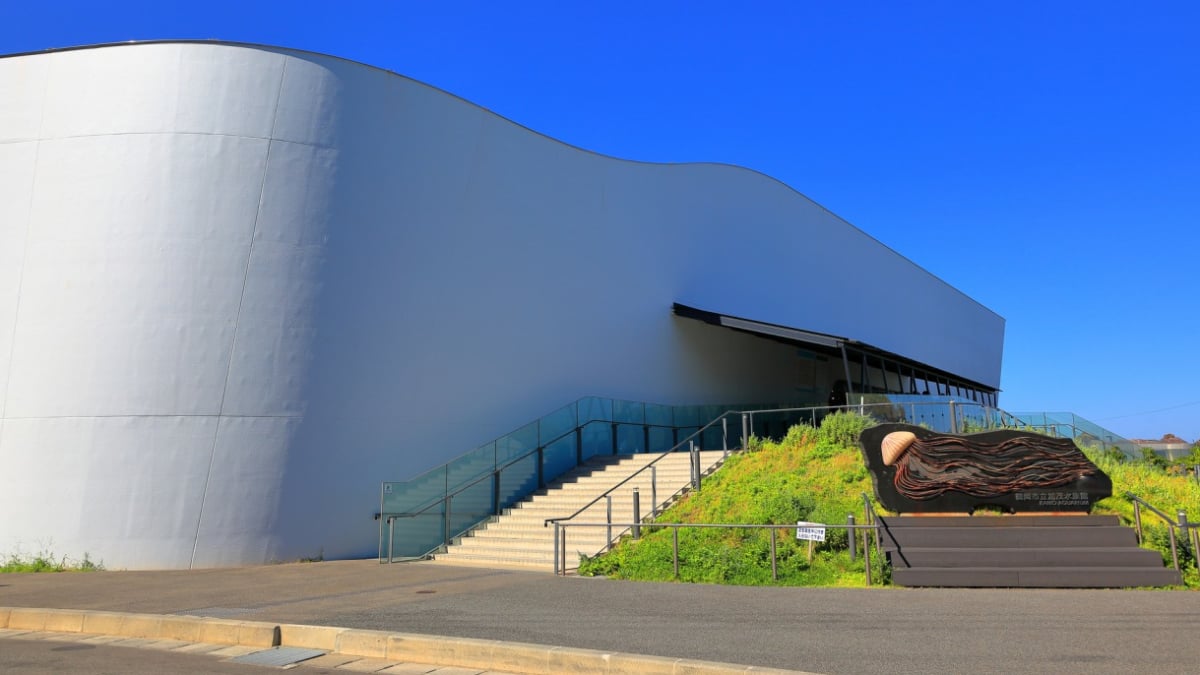 世界一のクラゲワールドに癒されよう 加茂水族館 の観光おすすめ情報 Skyticket 観光ガイド