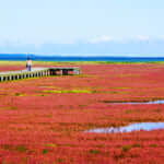 湖畔が赤く染まる能取湖