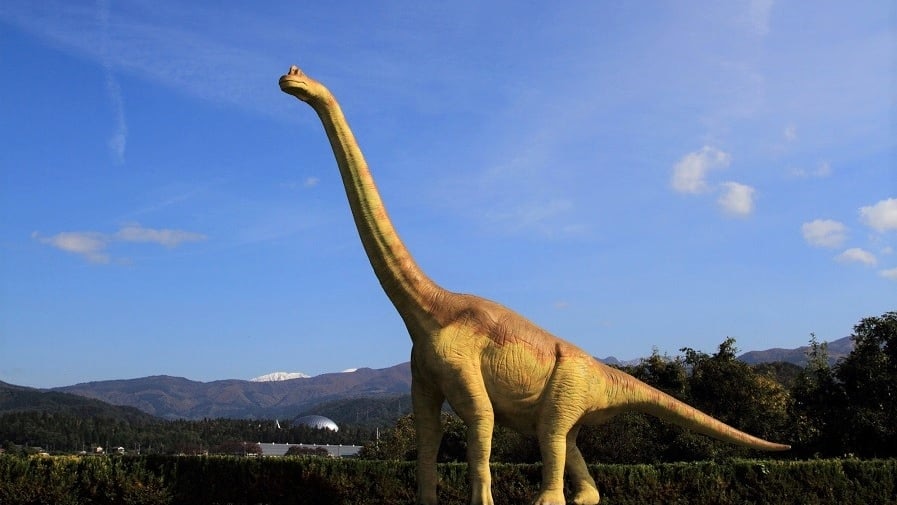 恐竜をテーマにした和菓子が人気 福井県勝山市でおすすめのお土産４選 Skyticket 観光ガイド