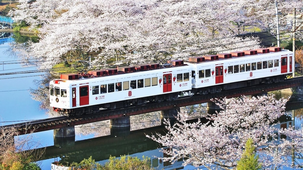 和歌山電鐵「貴志川線」とは？乗り方や「たま電車」もご紹介