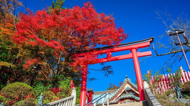 東京 11月は高尾山 御岳山 京王百草園の紅葉ベストシーズン Skyticket 観光ガイド