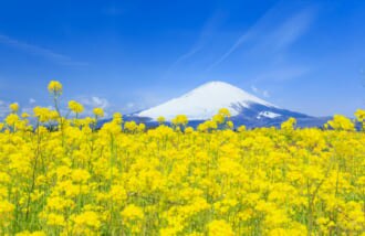 富士山　御殿場市