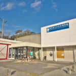 ウミガメの産卵地・日和佐（ひわさ）にある うみがめ博物館「カレッタ」とは？