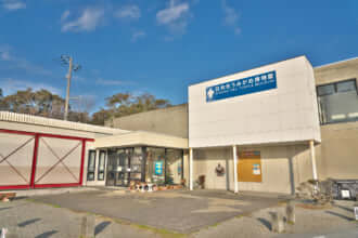 ウミガメの産卵地・日和佐（ひわさ）にある うみがめ博物館「カレッタ」とは？