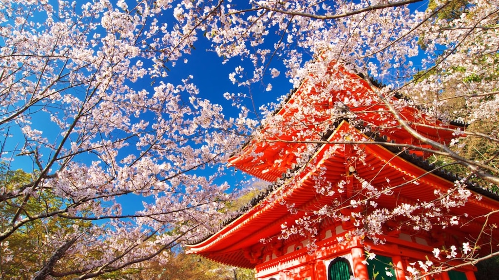 【2022年最新】関西・桜の穴場名所6選 静かなお花見に最適？今年注目のスポットをご紹介