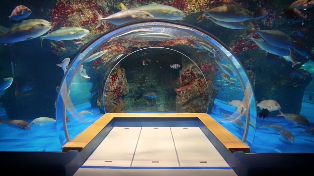 石川県人気の「のとじま水族館」にはおもしろい展示が目白押し