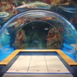 のとじま水族館