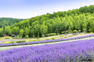オートリゾート滝野