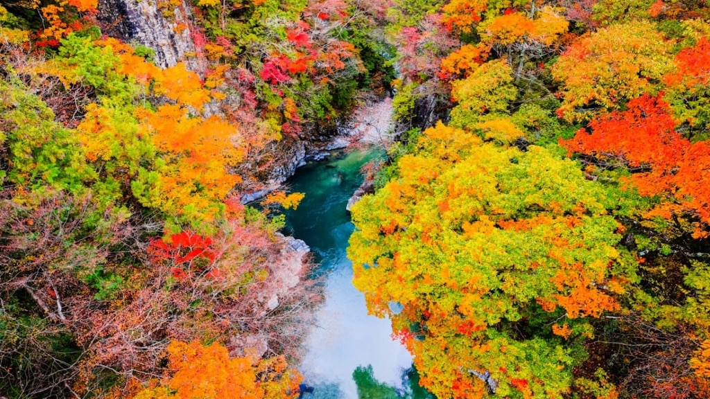 【岐阜】付知峡とは？紅葉狩りにも最適！エメラルドブルーが美しい自然豊かな渓谷