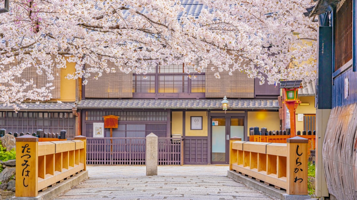 京都の桜 混雑しない朝観光がおすすめ サイクリングで桜の名所を巡るモデルコース Skyticket 観光ガイド