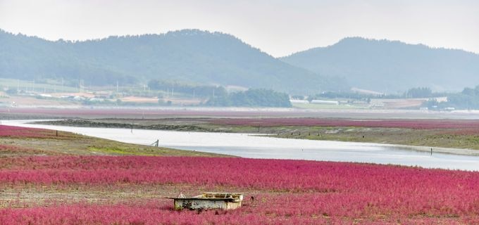 務安（ムアン）