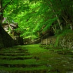 東近江市　百済寺