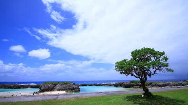 ビーチとサトウキビ畑だけじゃない 喜界島には歴史と文化もあふれていた Skyticket 観光ガイド