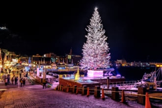 函館クリスマスファンタジー